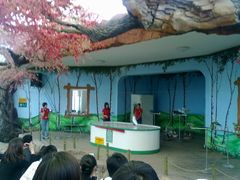 -南戴河国际娱乐中心