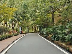 -长谷洞天