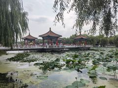 -长春市南湖公园