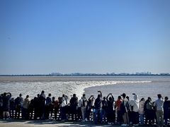 -观潮胜地公园