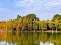 -中国科学院华南植物园