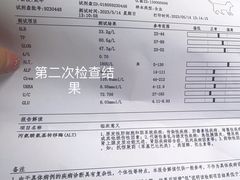 -伟伟宠物医院·CT影像中心·瑞派犬猫综合性门诊(汉口总院)
