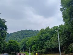 -桃花岭景区