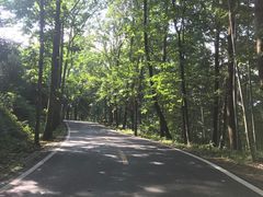 -潜山国家森林公园