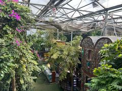 -呀路古热带植物园