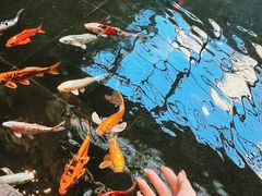 -天津海河悦榕庄·Lobby Lounge大堂吧