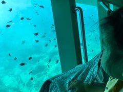 -亚龙湾海底世界