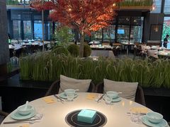 -拈菜(观音桥阳光世纪店)