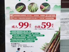 -武陵山森林公园