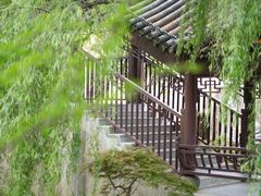 -江心屿景区