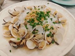 蒜蓉粉丝蒸白贝-鹭园酒家·四十年老字号