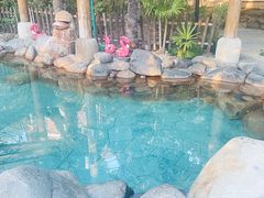 -张家港金凤凰度假村温泉