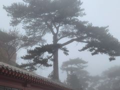 -妙峰山风景名胜区