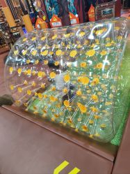 -卡通尼·Safari非洲探索乐园·生日会(金桥国际商业广场店)