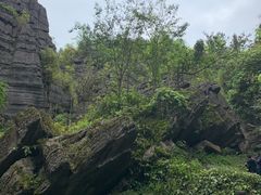 -梭布垭石林景区