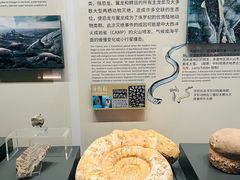 -北京大学赛克勒考古与艺术博物馆