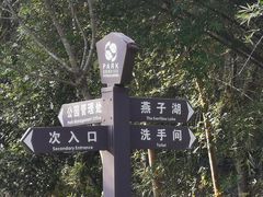 -燕子岭公园