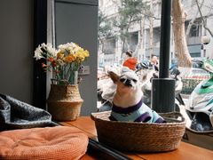 -Joymean coffee.见面咖啡