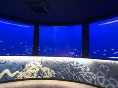 -沈阳海洋探索中心