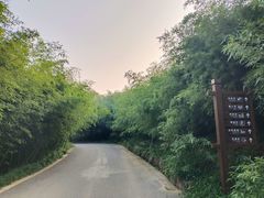 -雪山彩虹谷景区