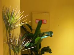 -西贝(六里桥旗舰店)