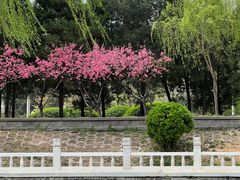 -皇家御河游(紫御湾码头)