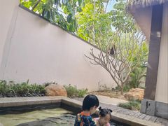 -清远熹乐谷温泉度假酒店