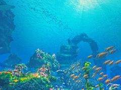 -海合安武汉极地海洋公园