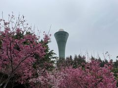 -狐尾山公园