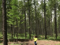 -塞罕坝国家级自然保护区