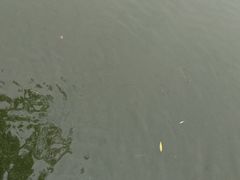 -浮庄