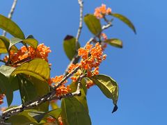 -重庆医科大学附属第一医院(金山院区)