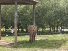 -哈尔滨北方森林动物园