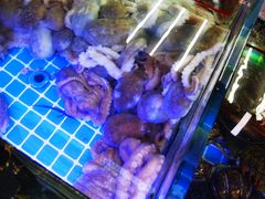 -金海湾海鲜排档(朱家尖店)