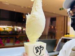 -野人先生现做冰淇淋(北京悠唐购物中心店)