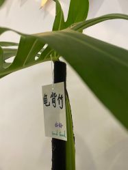 点击看大图 -AN普拉提·健身工作室