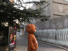 -威克特披萨汉堡