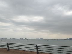 -演武大桥观景平台