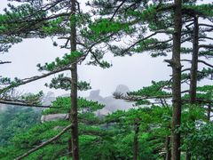 -天柱山风景区