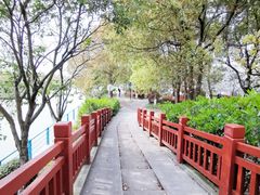 -高东镇樱花园