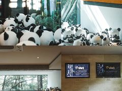 -杭州植物园