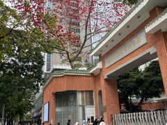 -广州市东风实验学校