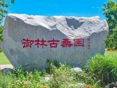 -御林古桑园