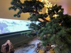 -潮上潮(南中环店)