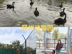 -郑州市动物园