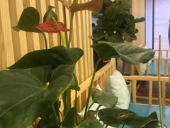 -老苏州大客堂·苏帮菜·松鼠桂鱼·苏州传统小吃(观前街人民商场店)