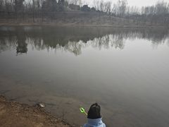 -东郊湿地公园