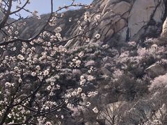-北京凤凰岭