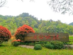 -千岛湖龙川湾