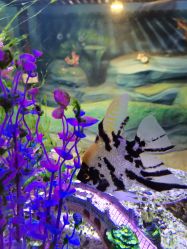 -酷嗒动物文化乐园(cutezoo西溪乐天城店)